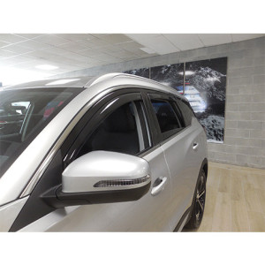 Farad Windabweiser für DR6...