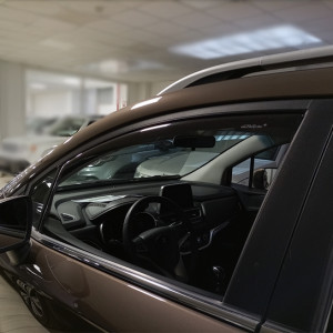 Farad Windabweiser für EVO...