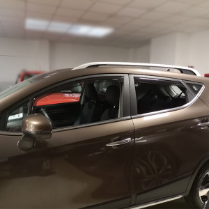 Farad Windabweiser für EVO...