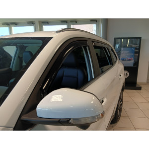 Farad Windabweiser für MG...